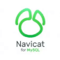 navicat-for-mysql-毕业设计